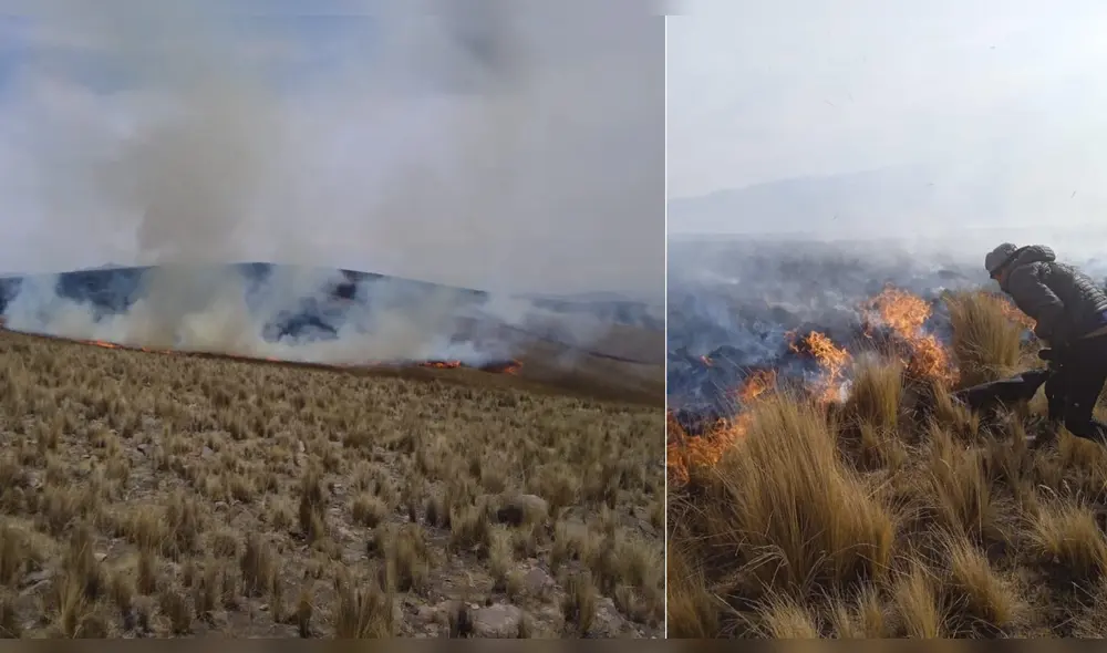Incendio forestal en Cusco. Foto: Difusión