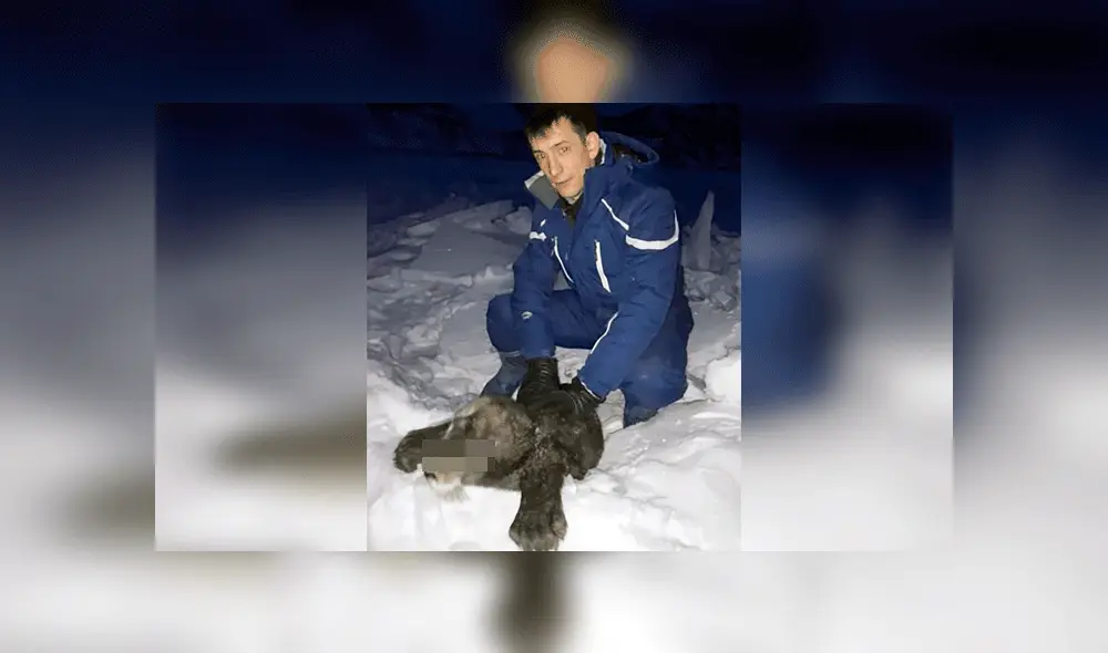 Intentaron rescatar a una foca bebé, pero terminaron provocándole la muerte [VIDEO]