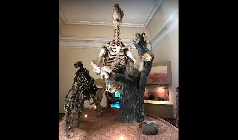 Google Maps: así lucía en Museo Nacional de Río de Janeiro antes del incendio [FOTOS]