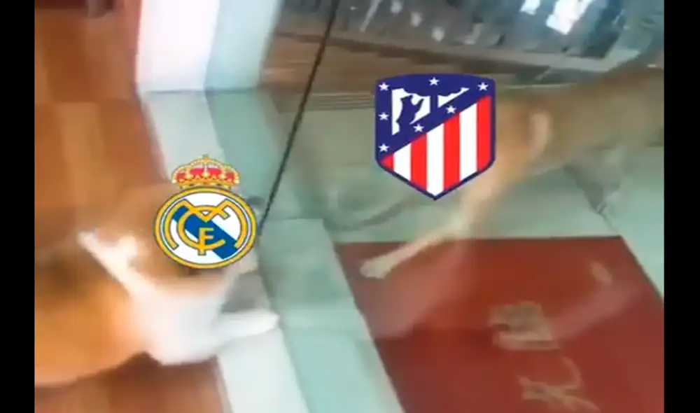 El derbi madrileño no pasó del 0-0. Real Madrid y Atlético Madrid se quedaron con un punto cada uno, tras empatar en partido correspondiente a la fecha 7 de la Liga Santander. El derbi madrileño no pasó del 0-0. Real Madrid y Atlético Madrid se quedaron con un punto cada uno, tras empatar en partido correspondiente a la fecha 7 de la Liga Santander.