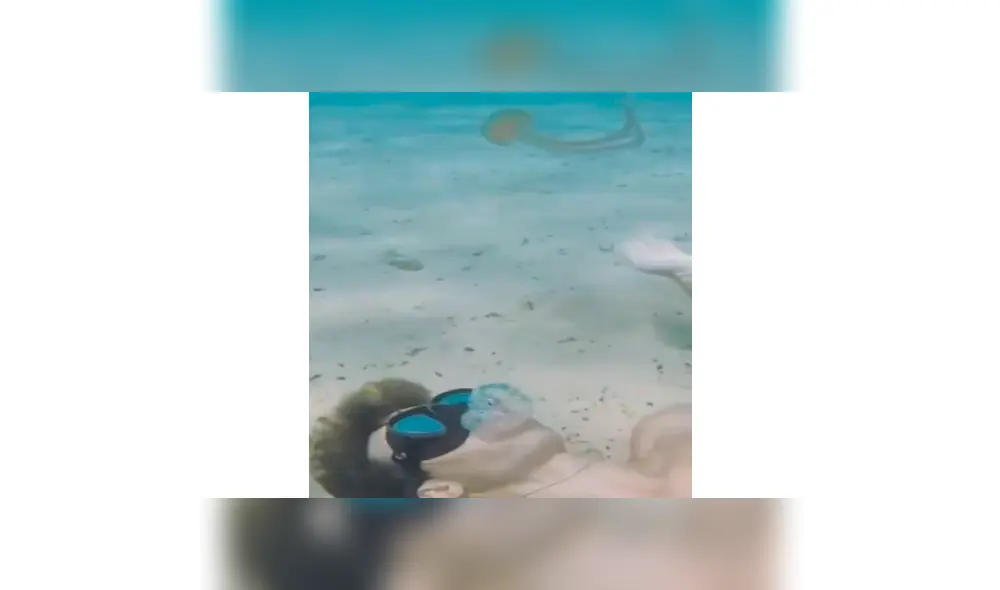 Medusa fake Medusa fake