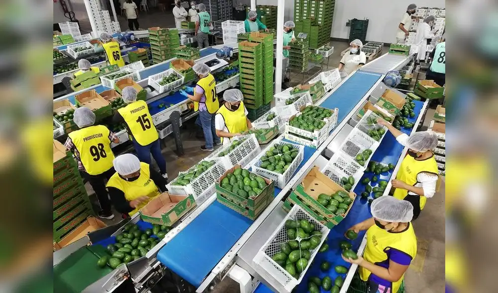 Exportaciones regionales avanzaron 2,1% entre enero y setiembre del 2022 Exportaciones regionales avanzaron 2,1% entre enero y setiembre del 2022