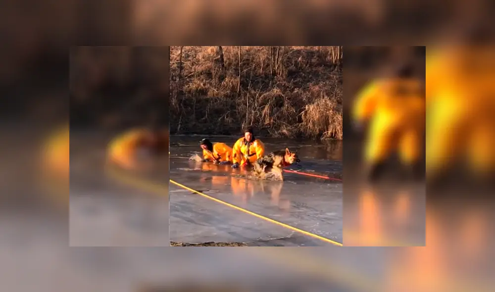 En Facebook, un grupo de bomberos ayudó a un indefenso perro que cayó a un lago congelado.