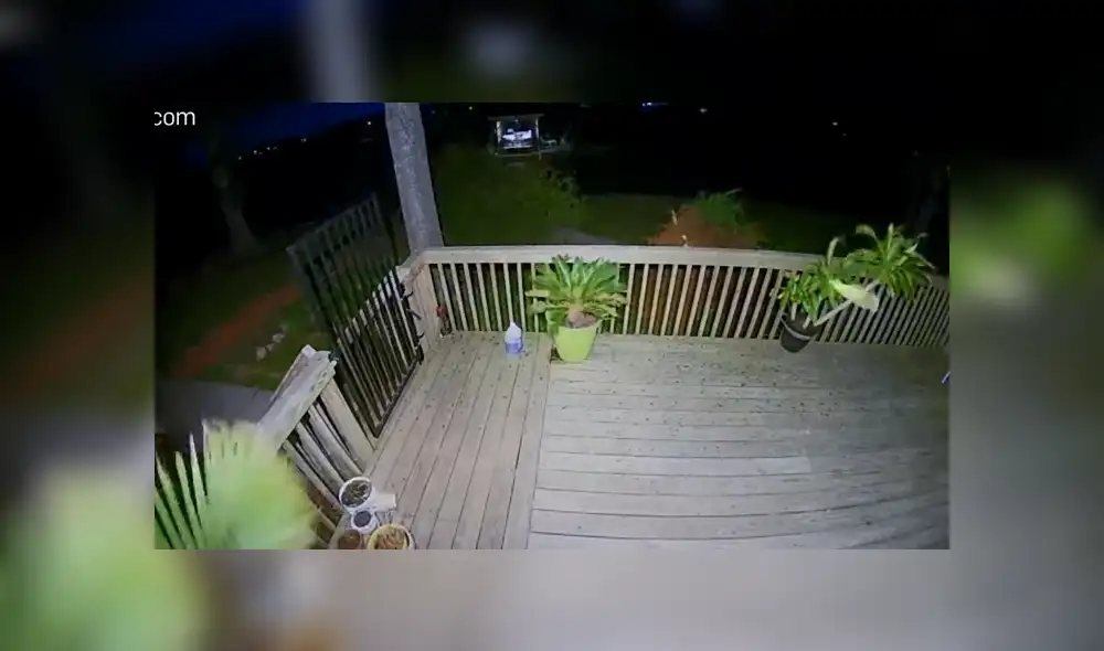 Desliza para ver los detalles del video viral publicado en YouTube. Foto: Captura. Desliza para ver los detalles del video viral publicado en YouTube. Foto: Captura.