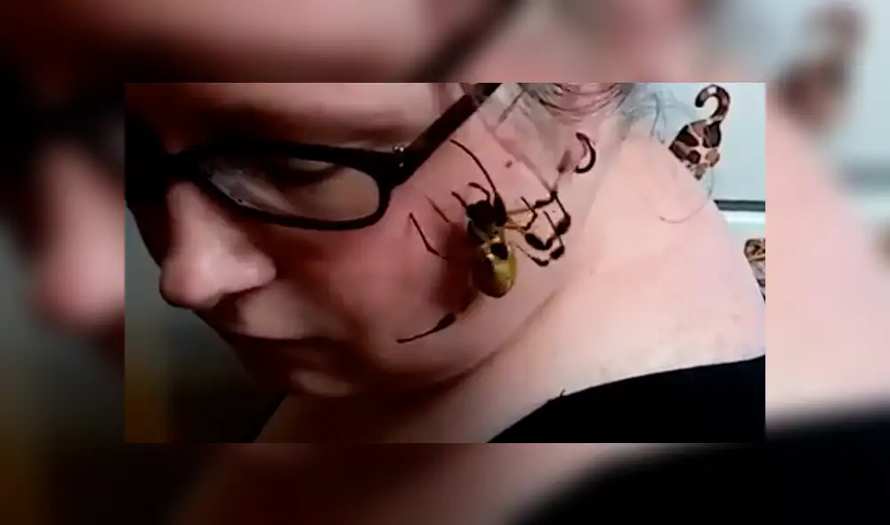 Facebook viral: retan para que joven coloque peligrosa araña en su rostro y sucede lo inesperado [VIDEO]