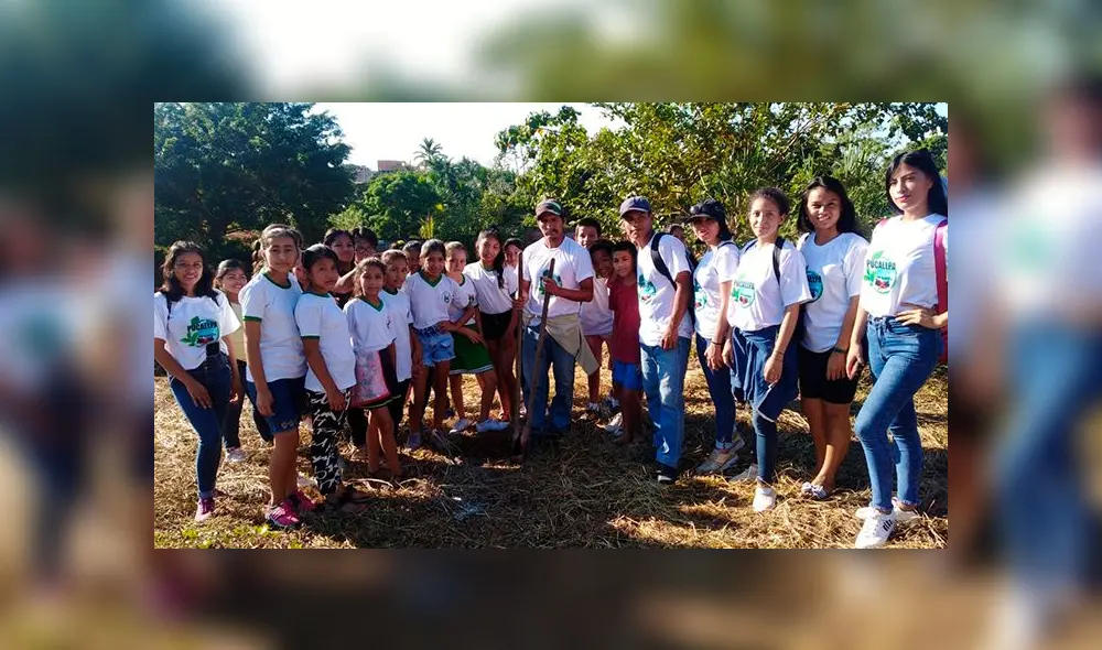 Ucayali: siembran 100 plantas para proteger el Medio Ambiente Ucayali: siembran 100 plantas para proteger el Medio Ambiente