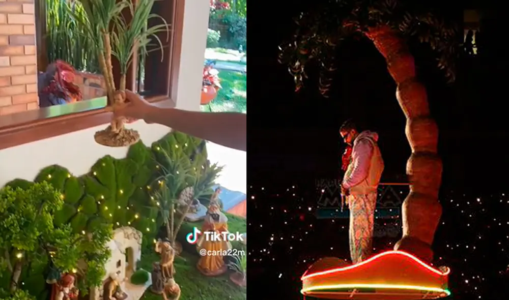 Este video ha conseguido más de 342.000 visualizaciones. Foto: composición LR / TikTok / @carla22m