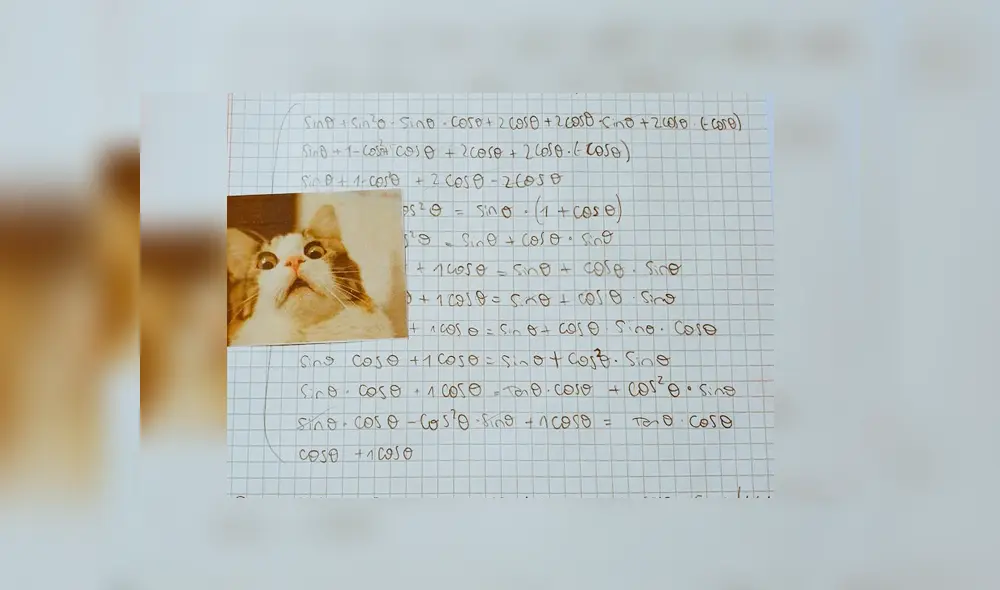 Desliza a la izquierda para ver los graciosos memes que hicieron reír a los usuarios de Facebook. Foto: Captura.