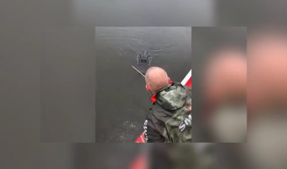 Turista que grabó el video viral de Facebook toca los colmillos de gigantesco cocodrilo, sin imaginar lo que pasaría con sus manos. Turista que grabó el video viral de Facebook toca los colmillos de gigantesco cocodrilo, sin imaginar lo que pasaría con sus manos.