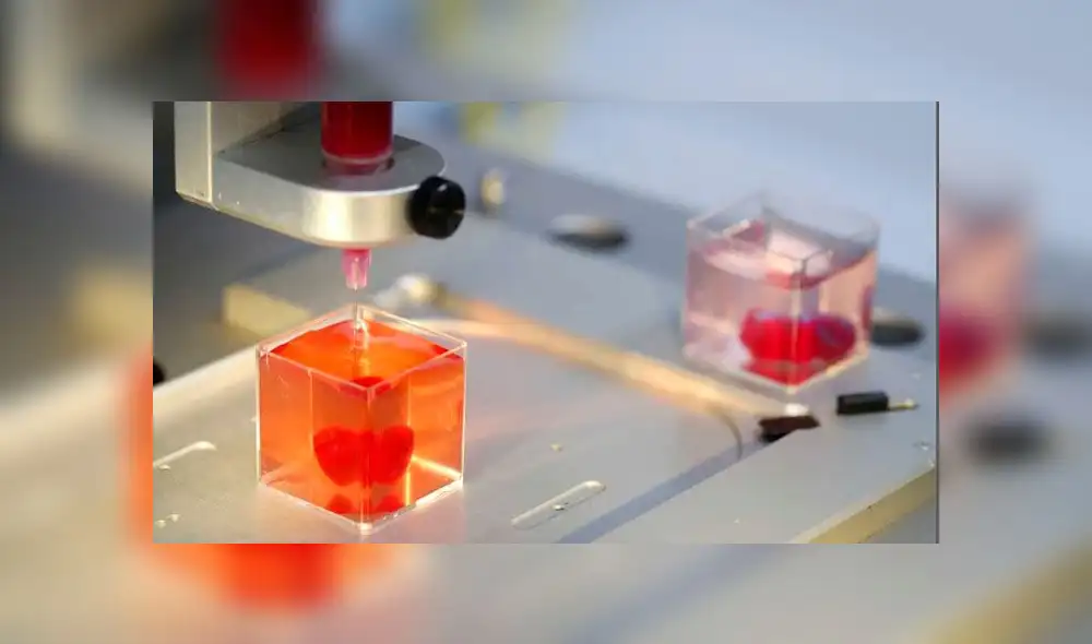 Crean el primer corazón "completo, vivo y que palpita" impreso en 3D con tejido humano [FOTOS]
