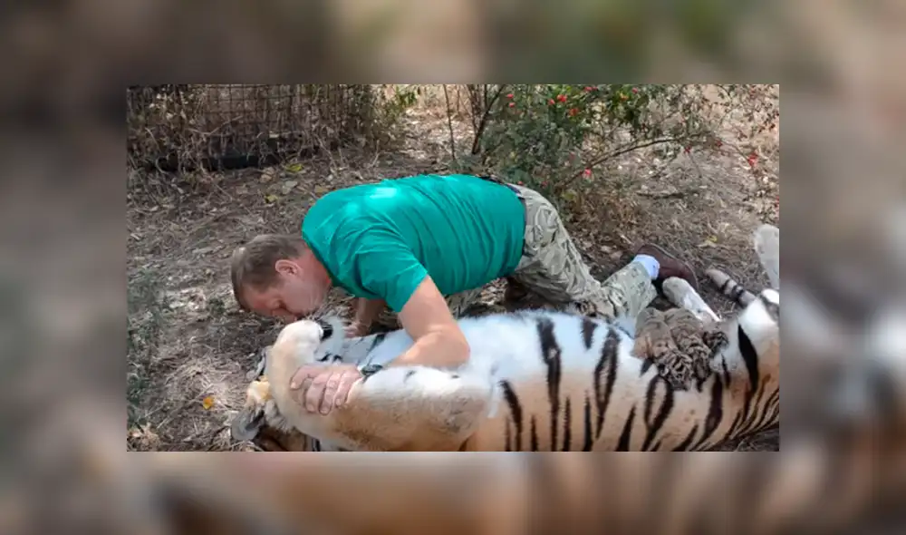 Desliza hacia la izquierda para ver las escenas del video viral de YouTube.