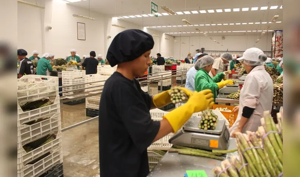 Exportaciones Exportaciones