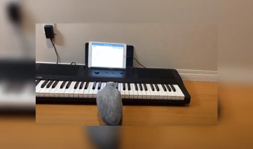 Desliza hacia la izquierda para ver más del video viral. Fotocaptura: YouTube Desliza hacia la izquierda para ver más del video viral. Fotocaptura: YouTube