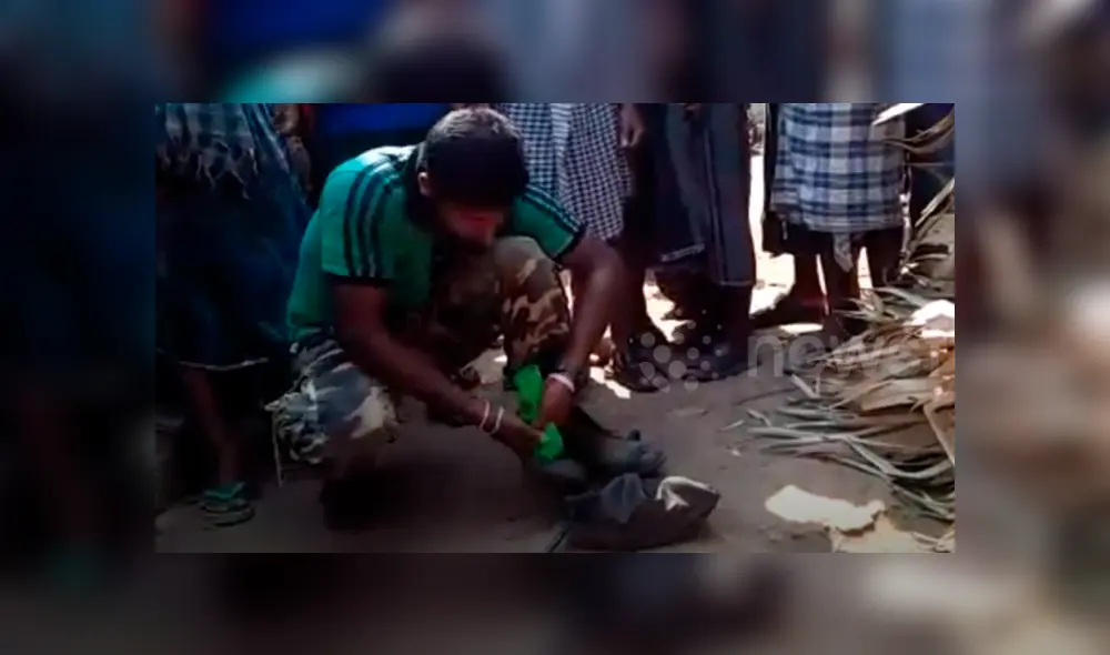 Voraz serpiente engulle a otra y hombre hace lo impensado para impedirlo, pero final es trágico.