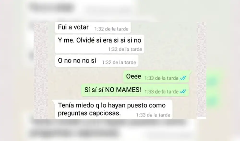 WhatsApp: peruana reveló que gracias al remix 'Cállese viejo lesbiano' supo cómo votar en el referéndum [FOTOS]