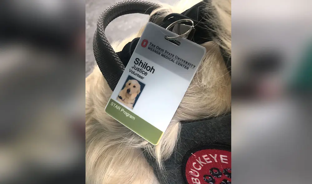 Desliza las imágenes para conocer la historia de un perrito que ‘trabaja’ en un centro de salud para alegrar a las personas. Foto: Twitter