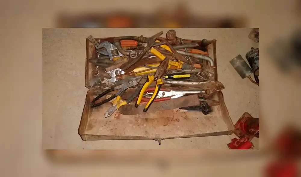 Desarticulan a “Los intocables de Huánuco” dedicada al hurto de autopartes y extorsión [VIDEO]