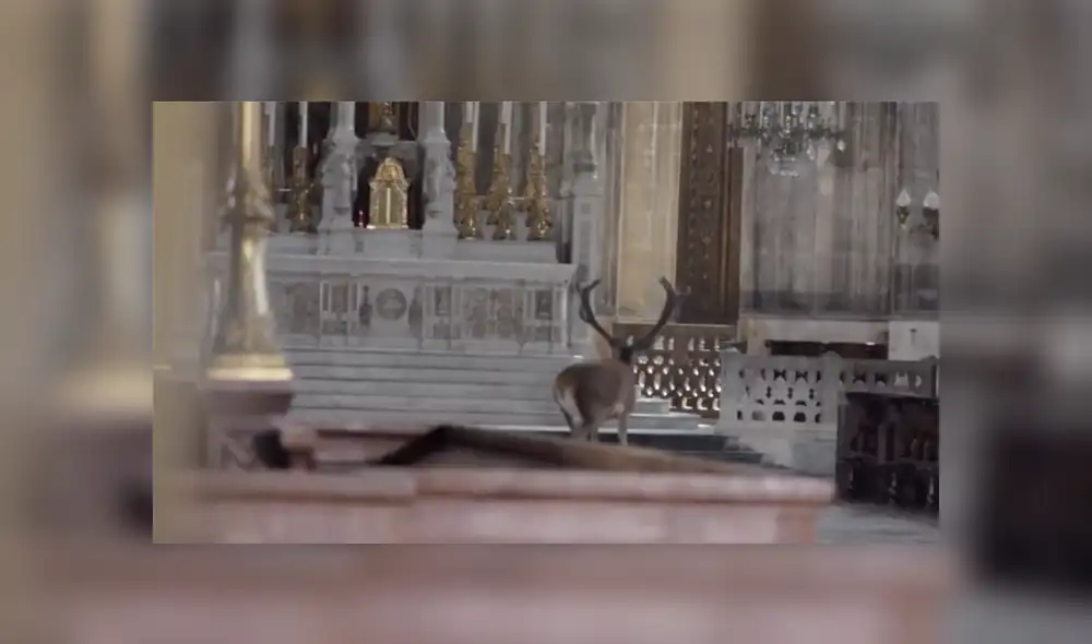 Desliza a la izquierda para conocer más sobre este viral de YouTube. Foto: Captura. Desliza a la izquierda para conocer más sobre este viral de YouTube. Foto: Captura.