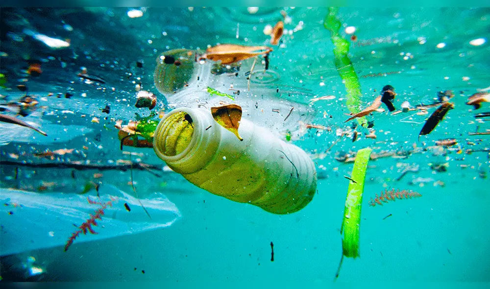 En el día del Medio Ambiente se debate el predictamen de plástico