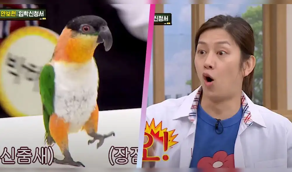 El set no pudo contener su emoción al ver a la mascota de la actriz Park Ha Na El set no pudo contener su emoción al ver a la mascota de la actriz Park Ha Na