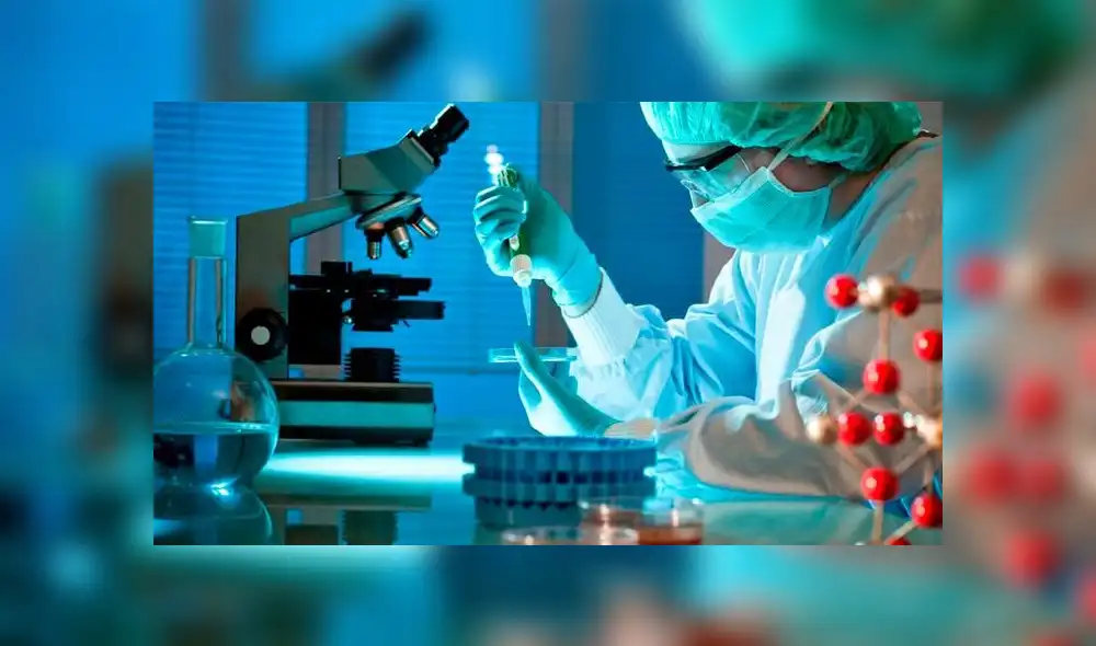 Experto advierte que uso de pesticidas en alimentos puede producir cáncer