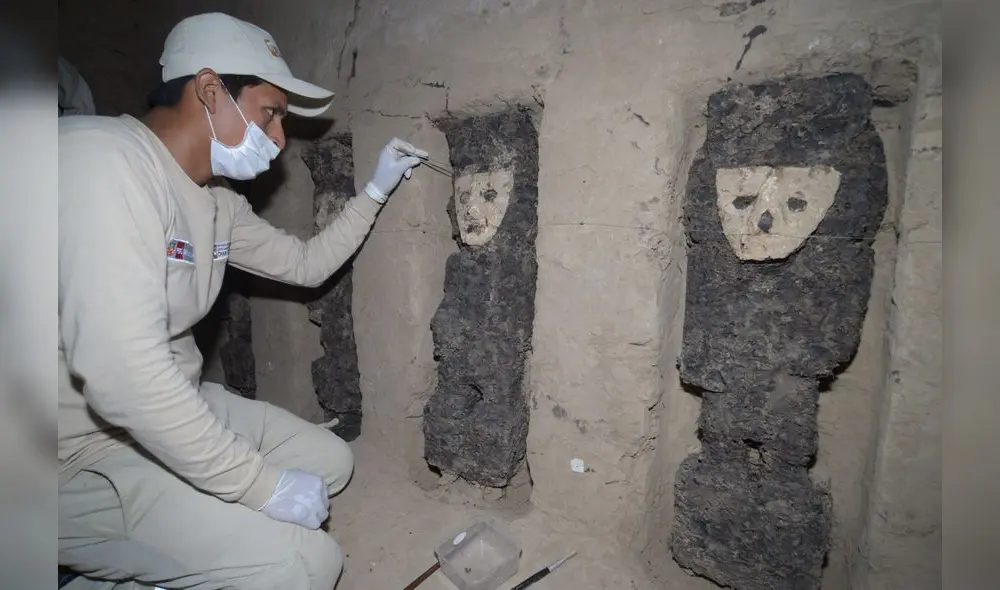 Ejecutivo promoverá programas de inserción laboral a través de formación técnica en conservación