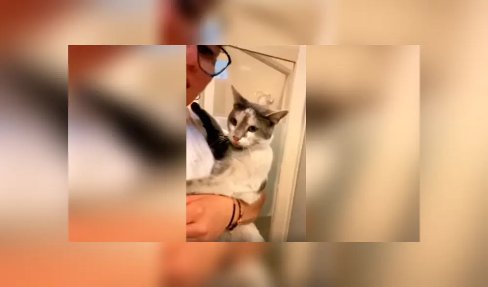 Desliza las imágenes hacia la izquierda para conocer la reacción de un gato cuando su dueña lo quiere bañar. Desliza las imágenes hacia la izquierda para conocer la reacción de un gato cuando su dueña lo quiere bañar.