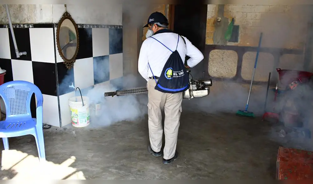 Inician acciones de fumigación en viviendas.