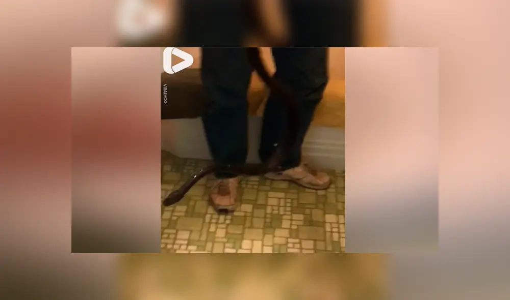 Desliza para ver los momentos más importantes del video que se hizo viral en YouTube.