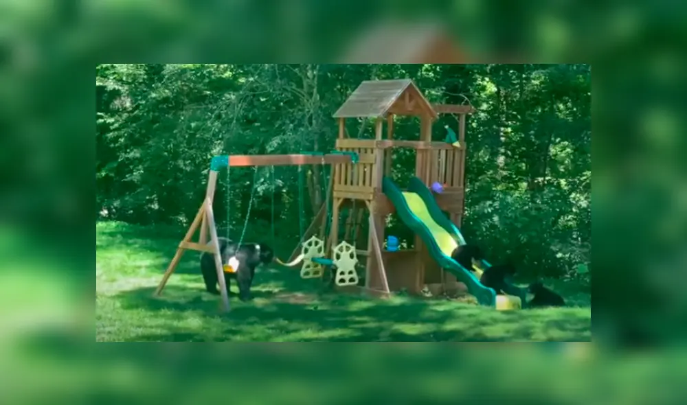 Desliza las imágenes para observar las travesuras de una mamá oso junto a sus crías al invadir una casa. Foto: ViralHog. Desliza las imágenes para observar las travesuras de una mamá oso junto a sus crías al invadir una casa. Foto: ViralHog.