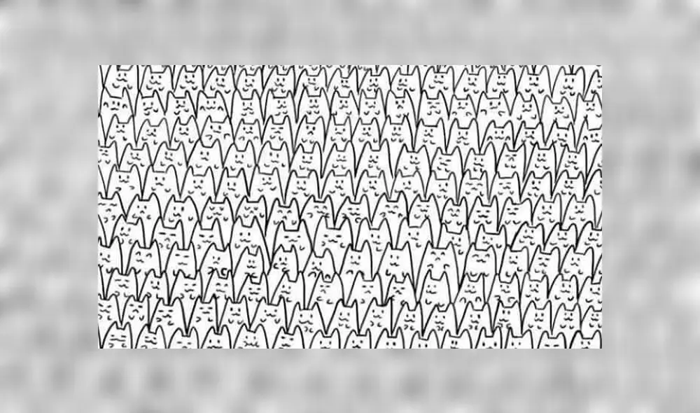 Intenta superar este reto visual en el que muy poco han tenido éxito. Foto: Facebook. Intenta superar este reto visual en el que muy poco han tenido éxito. Foto: Facebook.