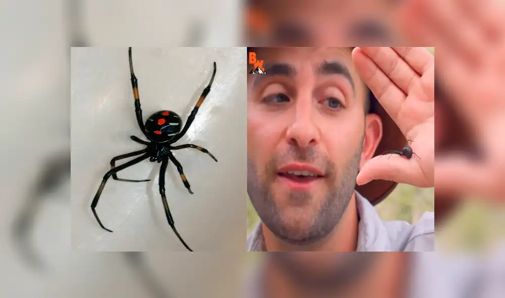 Desliza para ver los momentos más impactantes del aterrador video.