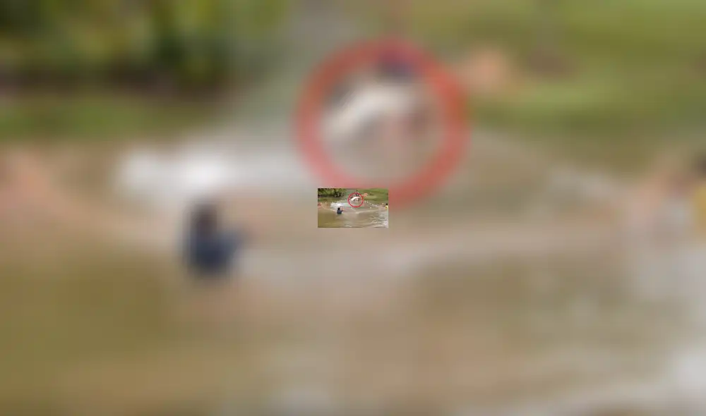 YouTube viral: Entran a pescar y quedan en shock al ver extrañas criaturas en su red [VIDEO]