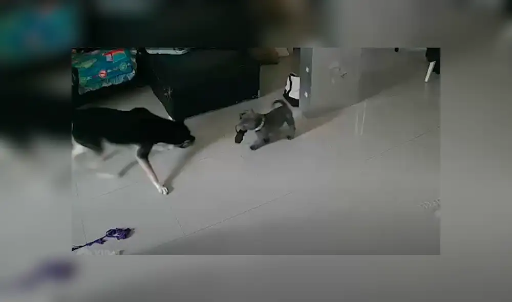 Desliza hacia la izquierda para ver las imágenes del viral de Facebook.