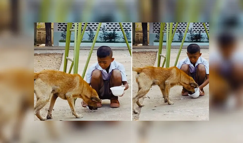 Desliza para ver los detalles del video viral publicado en Facebook. Foto: Captura. Desliza para ver los detalles del video viral publicado en Facebook. Foto: Captura.