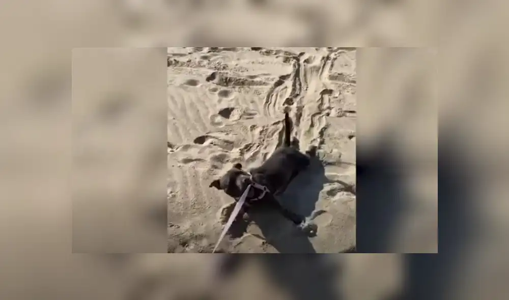 Desliza hacia la izquierda para ver más del video viral. Fotocaptura: YouTube Desliza hacia la izquierda para ver más del video viral. Fotocaptura: YouTube