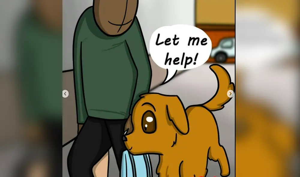 Facebook viral - animales