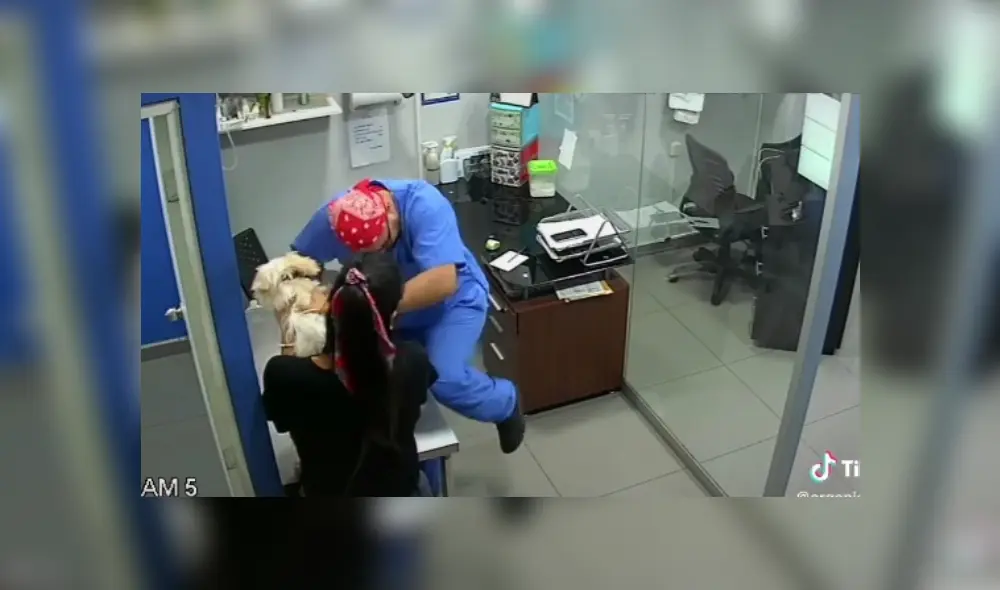 Video es viral en Facebook. El felino no soportó ver el sufrimiento del can mientras era vacunado por un veterinario y se acercó a él para intentar alejarlo con inesperada conducta.