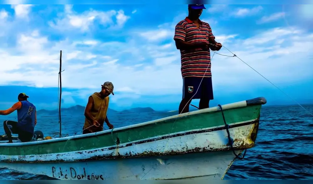 FAO: Países de América Latina deberían regular la pesca artesanal 