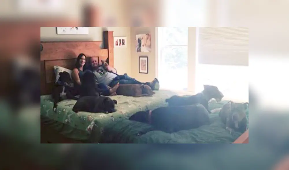 Desliza las imágenes para apreciar la enorme cama que fabricó la pareja para descansar con sus adoradas mascotas. Desliza las imágenes para apreciar la enorme cama que fabricó la pareja para descansar con sus adoradas mascotas.