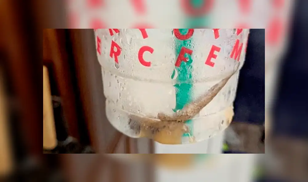 Denuncia que pidió un café en Starbucks y al beberlo encontró un lagarto en el interior [FOTO]