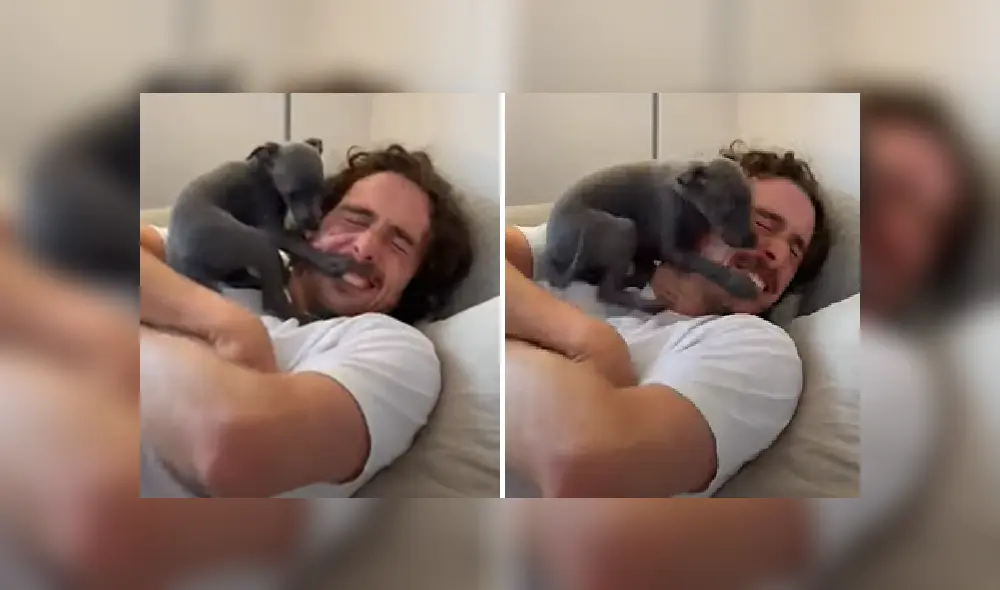 Desliza para ver más detalles sobre esta escena que se ha robado el corazón de miles en YouTube.