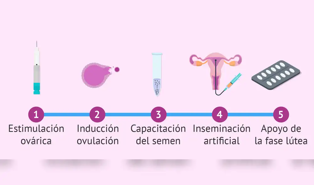 Cada vez más mujeres en el mundo recurren a un banco de semen para cumplir su sueño de ser mamás solteras. Foto: Difusión.