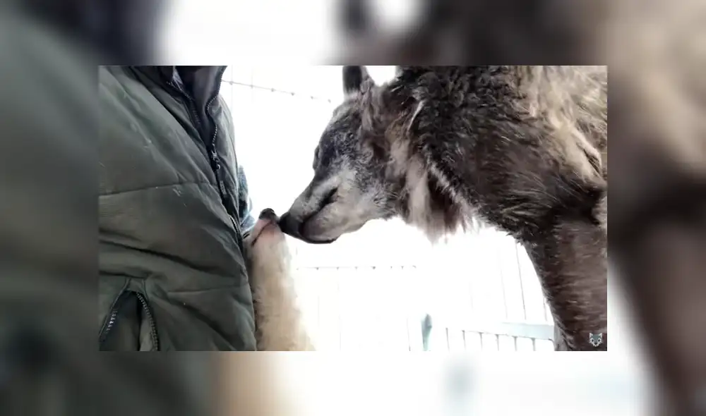 Desliza para ver las imágenes más emotivas del video que se hizo viral en YouTube. Desliza para ver las imágenes más emotivas del video que se hizo viral en YouTube.