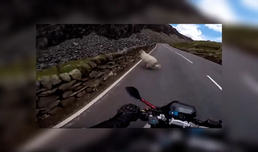 YouTube viral: motociclista YouTube viral: motociclista