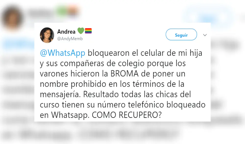 Desliza para saber más detalles acerca de los nombres prohibidos de grupos en WhatsApp. Foto: Captura / Canal 1.