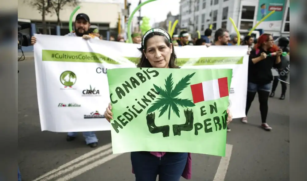 Hoy se debatirá proyecto del cannabis medicinal Hoy se debatirá proyecto del cannabis medicinal