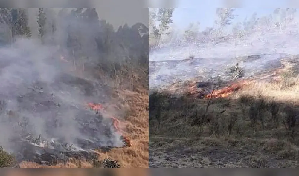 Cusco: Madre e hija provocan incendio forestal