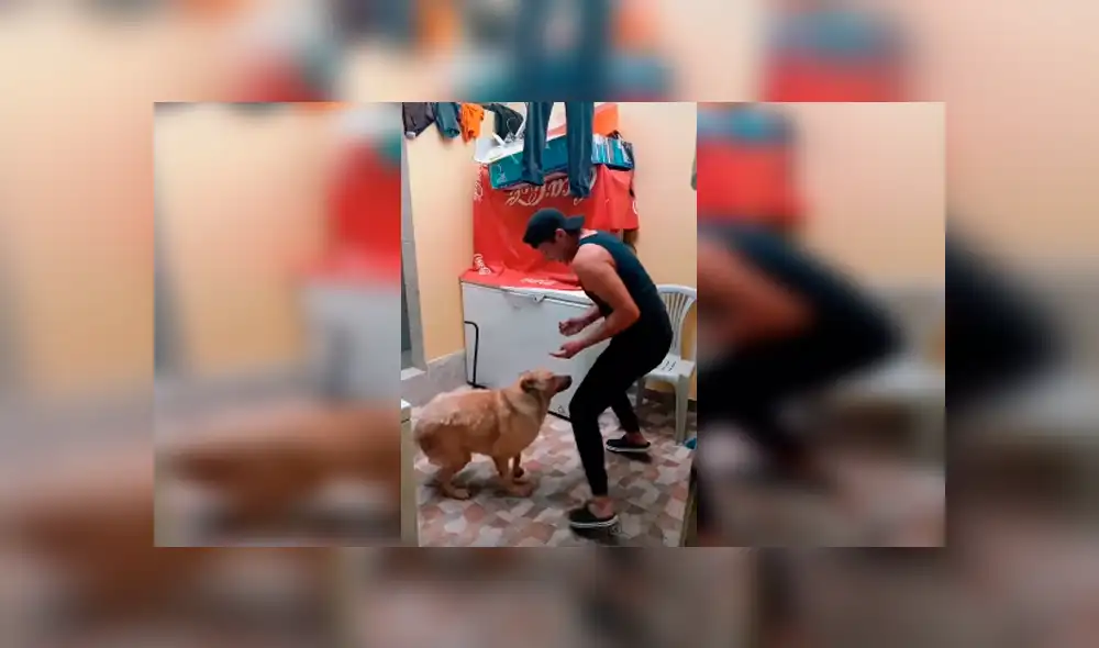 Desliza las imágenes para observar los movimientos que realizó un joven junto a su perro para pasar un reto de baile.