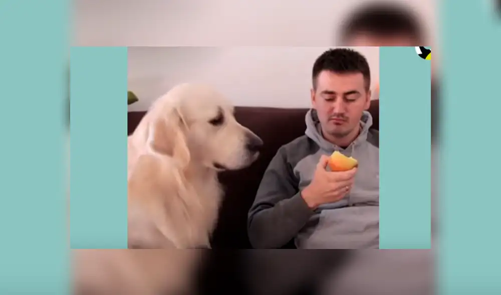 Desliza hacia la izquierda para ver las imágenes del video viral de Facebook.